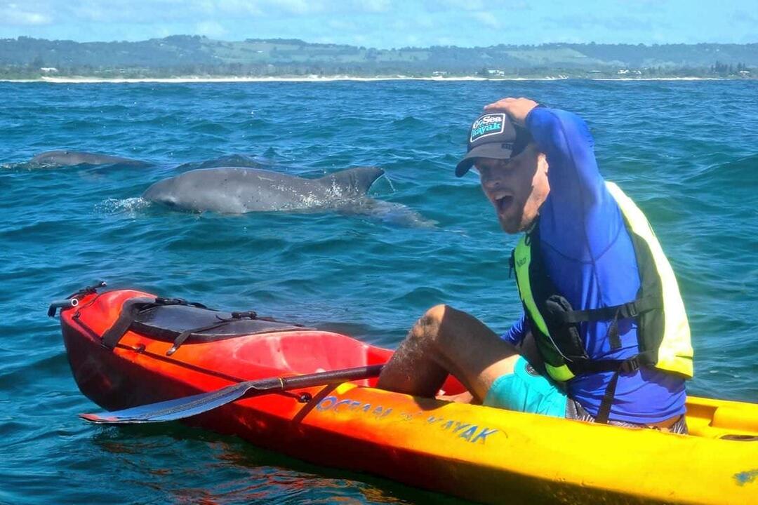 Sea Kayak and Dolphin Tour, Byron Bay Marine Park - Gift Voucher or Instant Booking - Byron Bay NSW