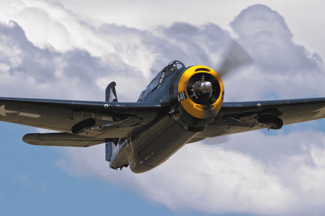 Exclusive Grumman Avenger Flight Rutherford NSW