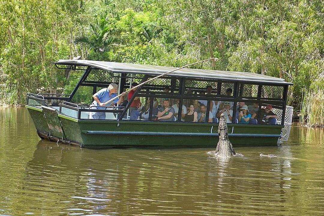 Crocodile Adventure with Transfers Cairns QLD