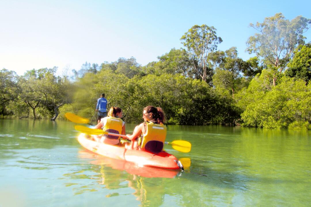 Sea Kayak and Dolphin Tour, Byron Bay Marine Park - Gift Voucher or Instant Booking - Byron Bay NSW