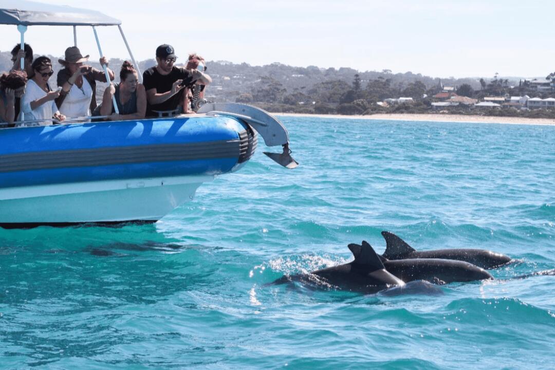 Southern Ocean Adventure for 2 Victor Harbor SA