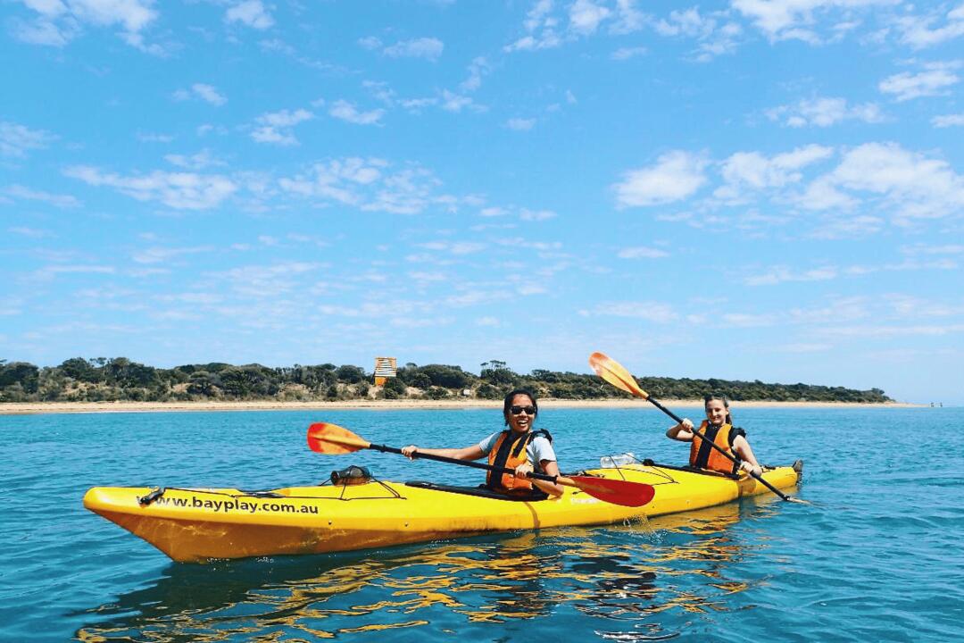 Dolphin Sanctuary Sea Kayak Tour Portsea VIC