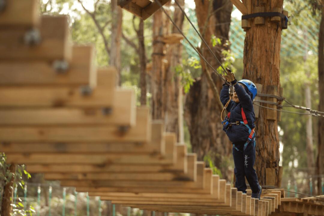 Junior Treetops Ropes Course Yeodene VIC