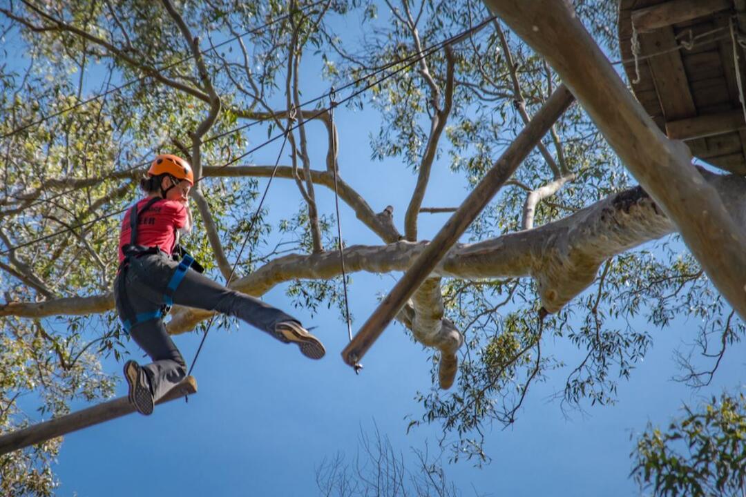 Treetops Ropes Course Abbotsbury NSW