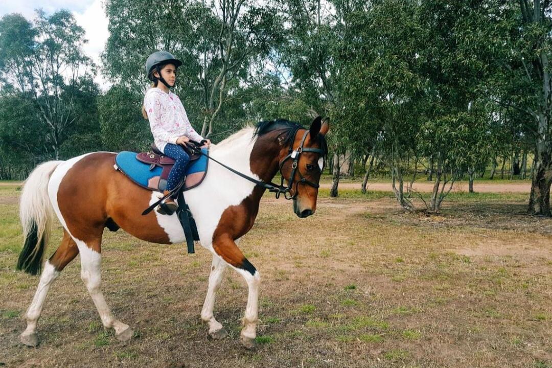 Riding Lesson at Woodlands Lodge Oaklands Junction VIC