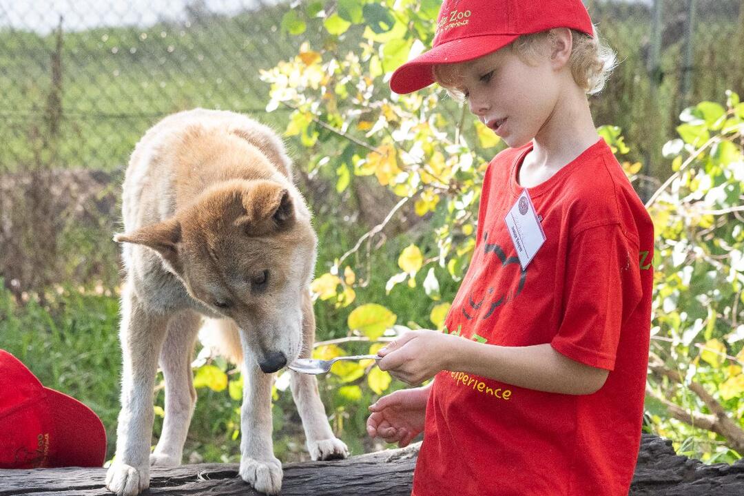 Zookeeper for a Day Pinjarra WA