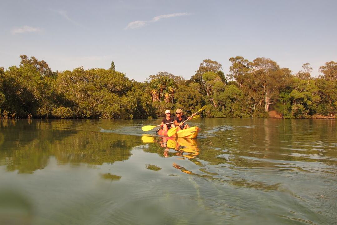 Sunset Kayaking, Brunswick River Nature Tour Brunswick Heads NSW
