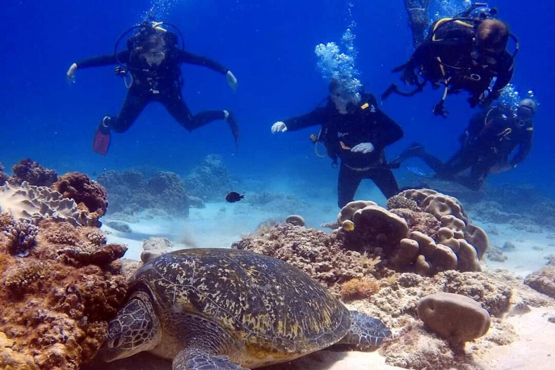Open Water Scuba Diver Course Instant Booking - Mooloolaba QLD