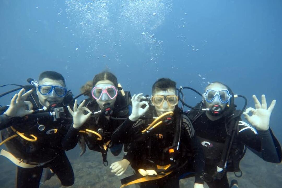 Introductory Dive, Sunshine Coast Reefs Instant Booking - Mooloolaba QLD