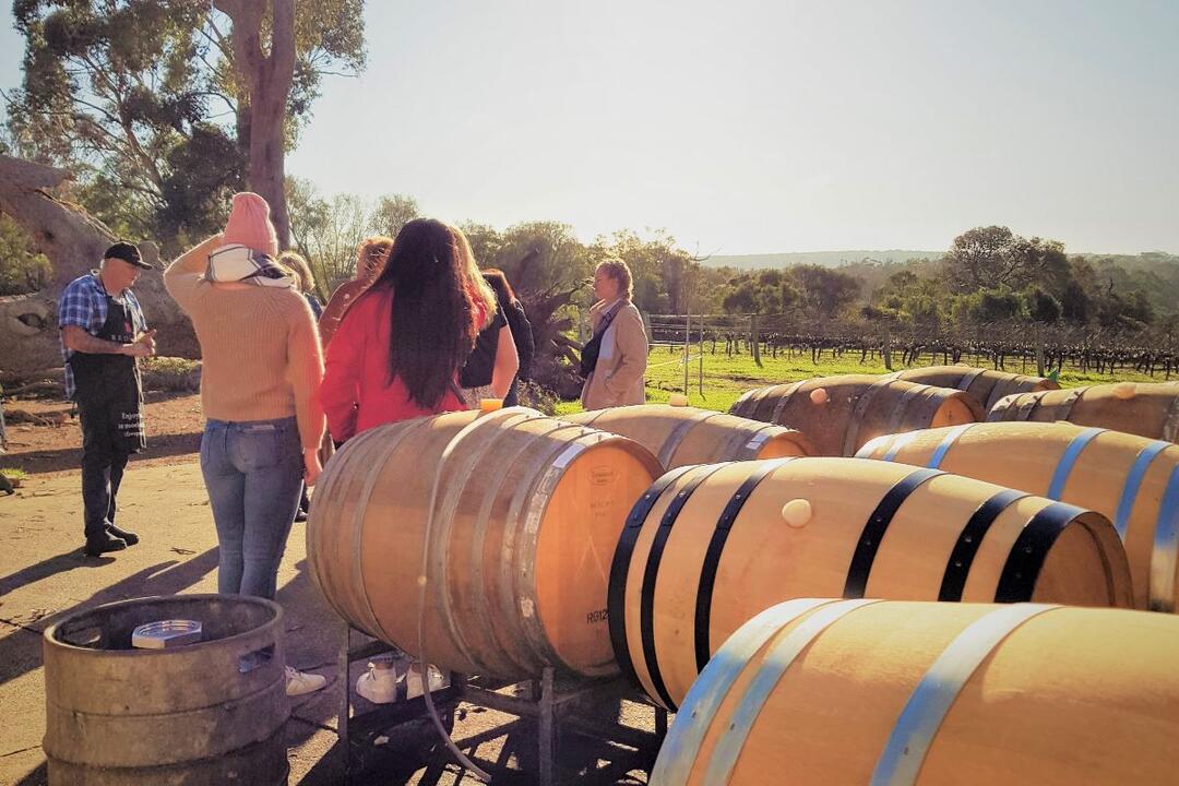 Margaret River Wine, Artisan, Forest Half-Day Margaret River WA