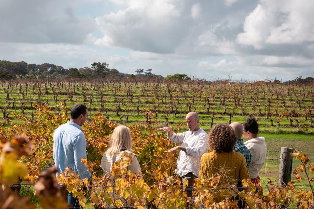 Margaret River Full Day Wine Produce Tour Margaret River WA