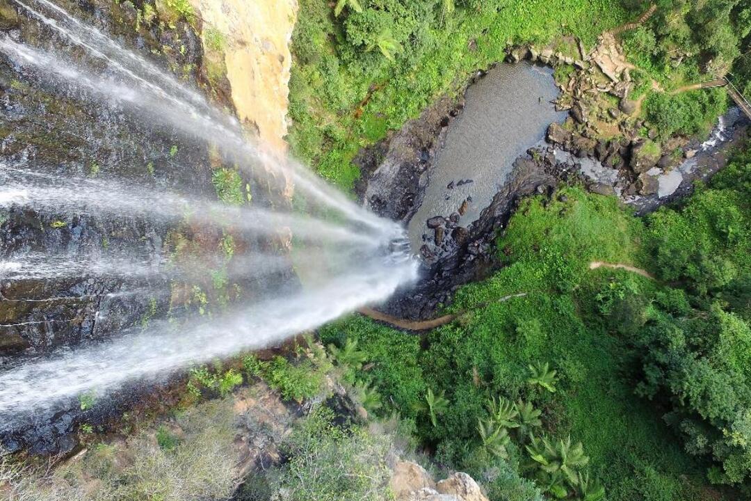 Natural Bridge and Waterfalls Tour Surfers Paradise QLD