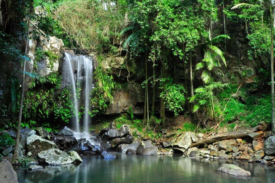 Tastes of Tamborine Mountain Tour - Gift Voucher or Instant Booking - Surfers Paradise QLD