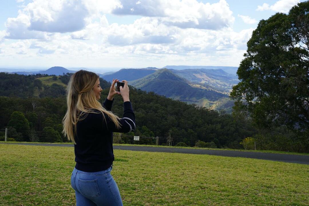 National Park, O'Reilly's and Vineyard Tour - Gift Voucher or Instant Booking - Surfers Paradise QLD