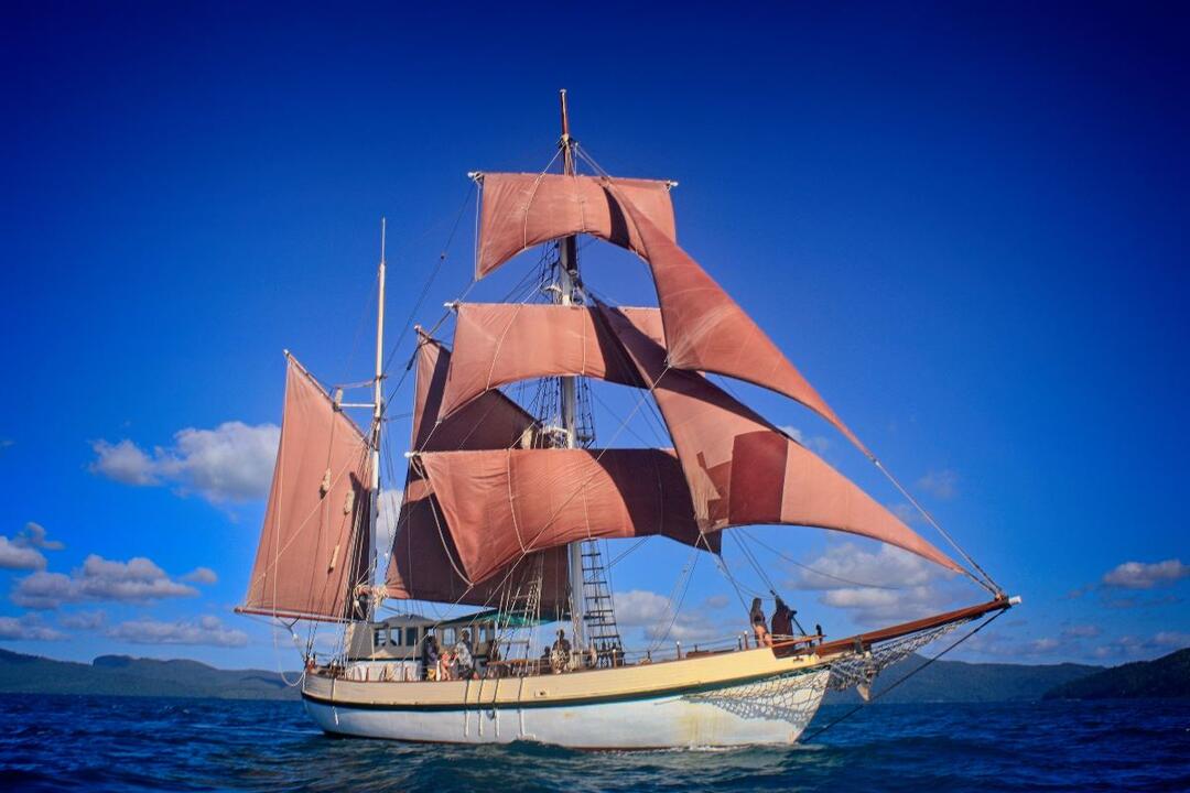 Tall Ship Discovery Cruise on the Coral Trekker - Gift Voucher or Instant Booking - Sydney NSW