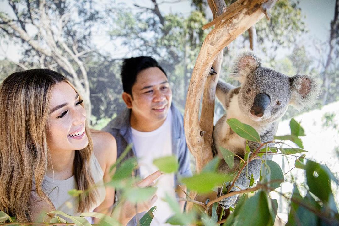 Ultimate Blue Mountains Tour - Gift Voucher or Instant Booking - Sydney NSW