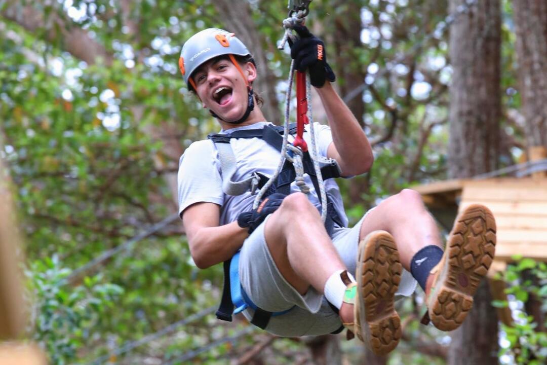 Tamborine Mountain Adventure Park - Gift Voucher or Instant Booking - Tamborine QLD