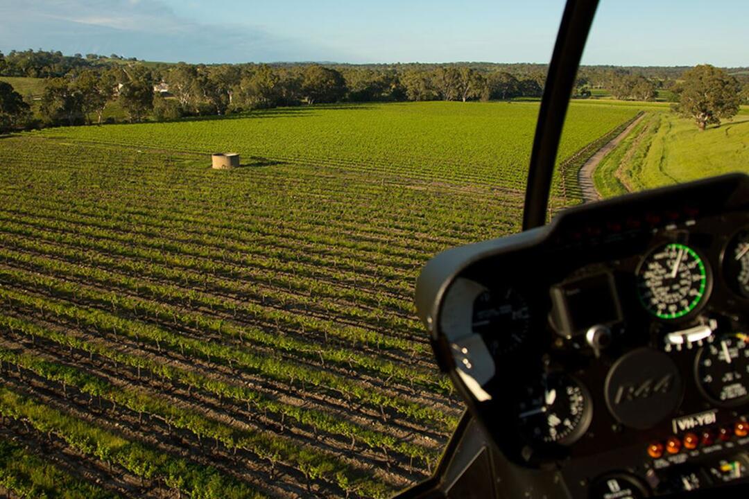 Helicopter Scenic Taster Flight Barossa Valley SA
