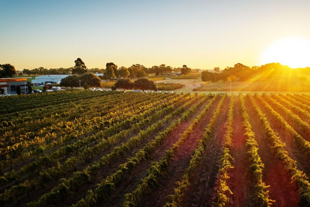 Wine Immersion at Mandoon Estate Instant Booking - Caversham WA