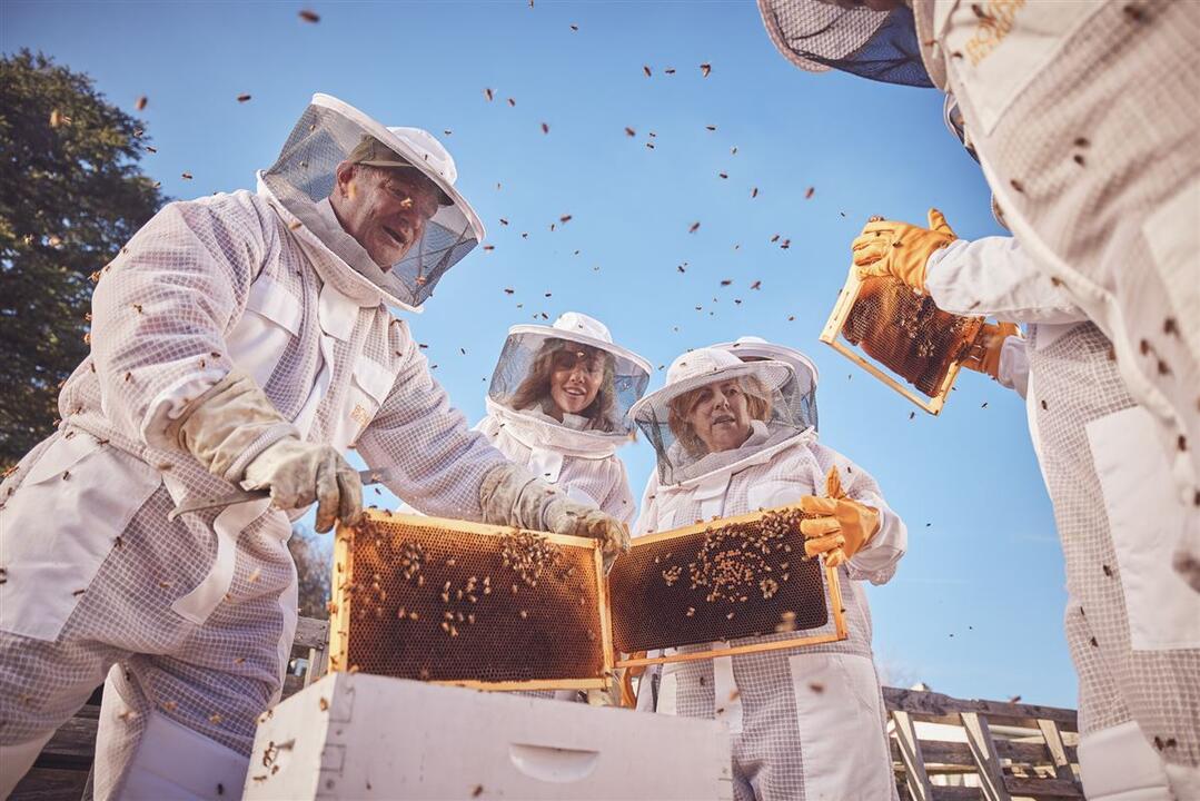 Honey and Hive - Gift Voucher or Instant Booking - Bowral NSW