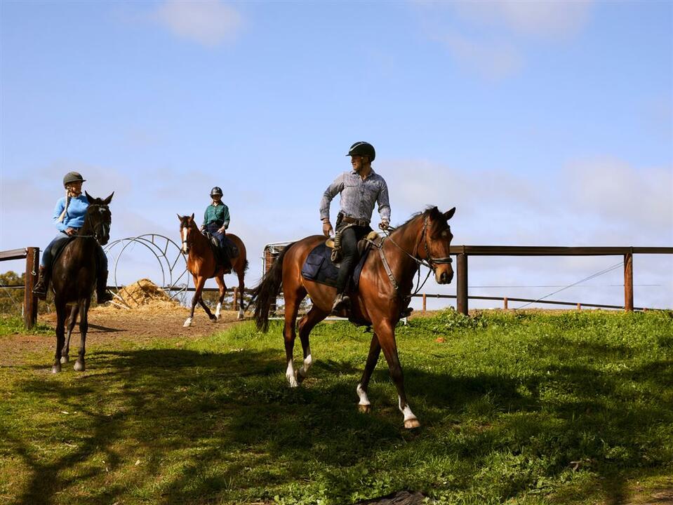 Horse Trail Ride and Tasting at Petaluma Instant Booking - Woodside SA