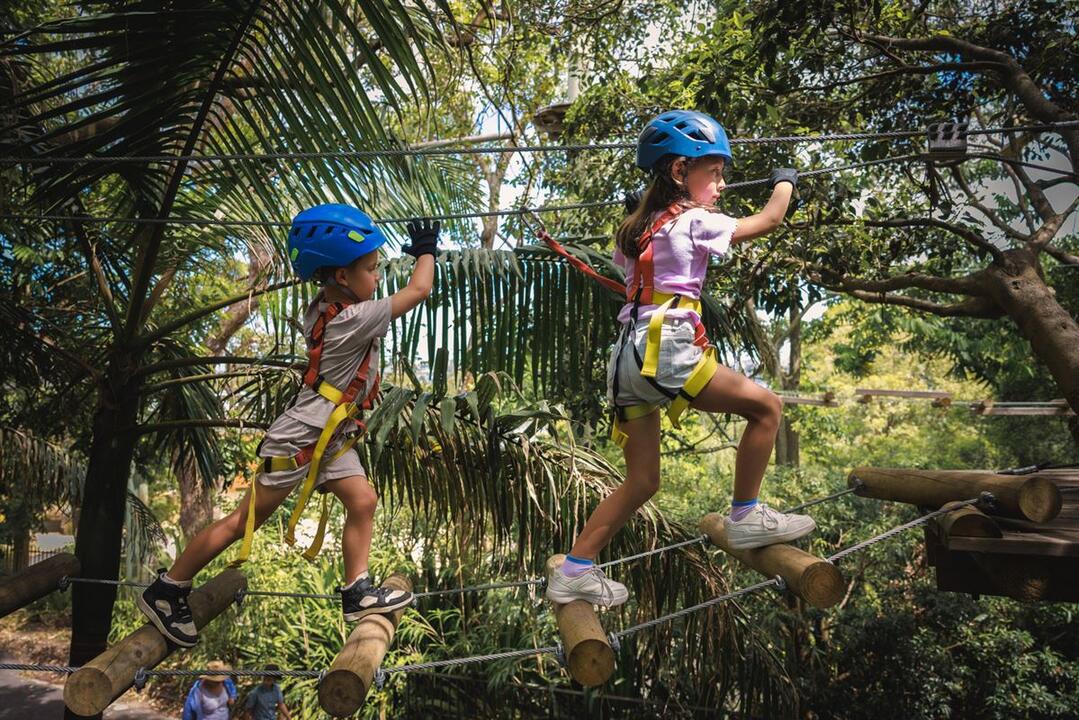 Junior Tree Ropes Adventure North Nowra NSW