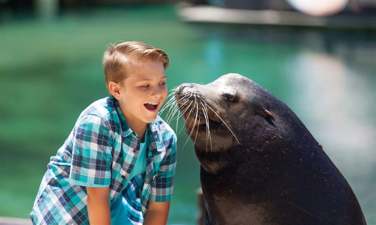 Premium Whale Watch Cruise and Sea World Entry Gift Voucher - Main Beach QLD