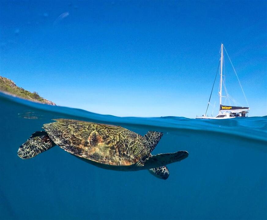 Whitsundays Private Sail Airlie Beach QLD