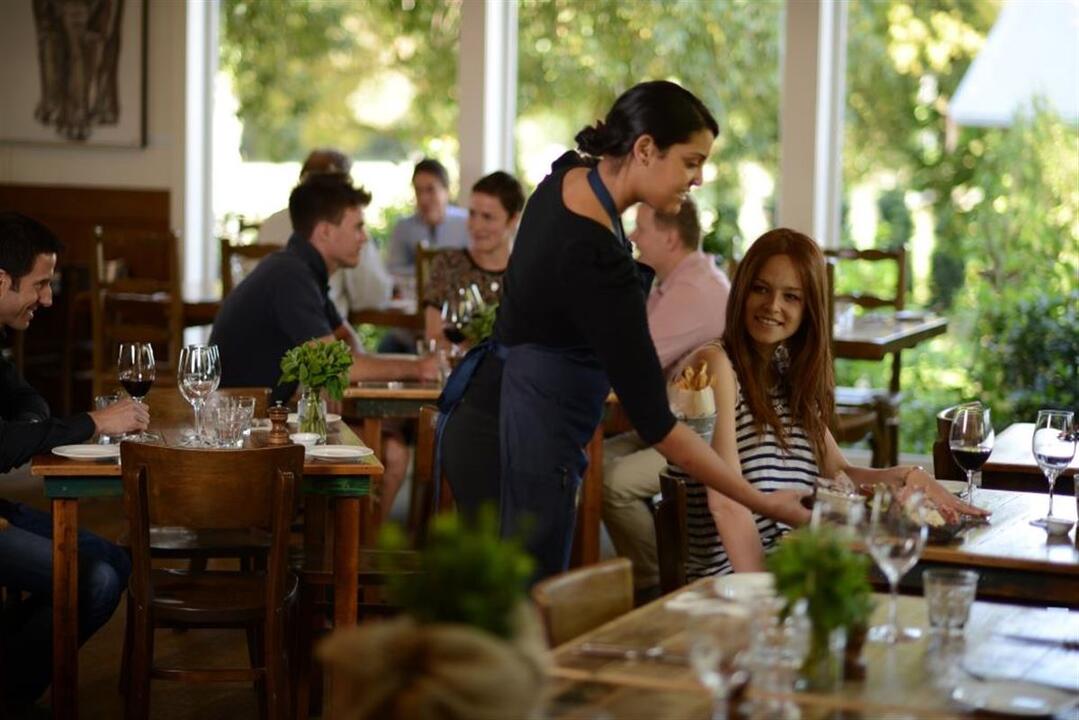 Mornington Peninsula Wine Day Tour Melbourne VIC