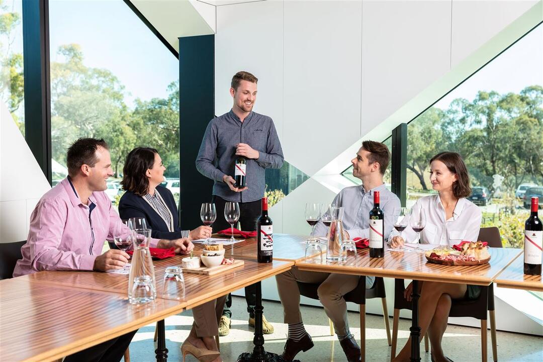 Exclusive Tour, Wine and Gin Tasting for 11 - McLaren Vale SA