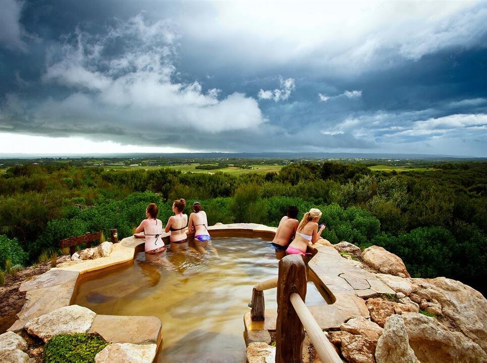 Dolphins, Seals and Hot Springs Day Out - Gift Voucher or Instant Booking - Sorrento VIC