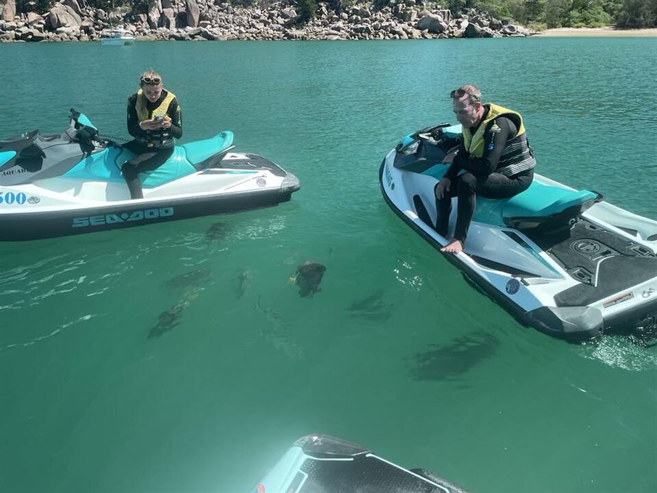 Jet Ski and Snorkel Adventure - Gift Voucher or Instant Booking - Magnetic Island QLD