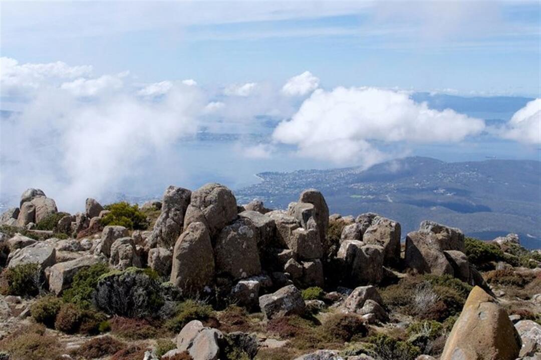 Bruny Island Gourmet Day Tour - Gift Voucher or Instant Booking - Bruny Island TAS