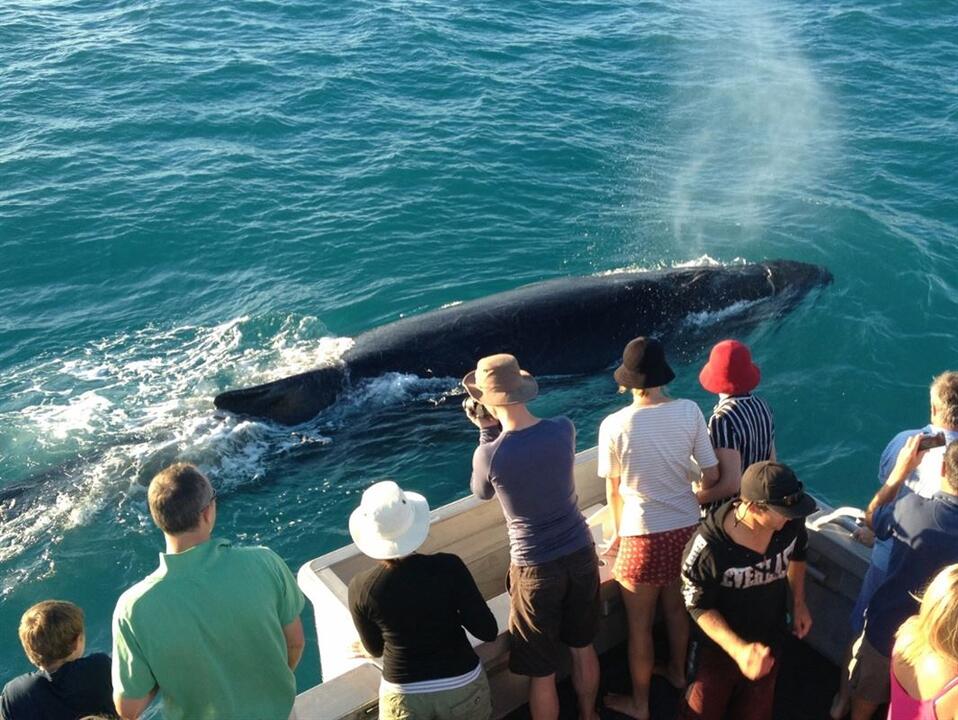 Broome Sunset Whale Cruise Instant Booking - Broome WA