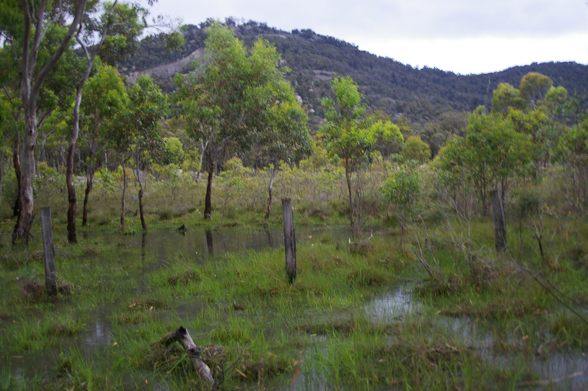 Girraween National Park is an area of the Granite Belt in the Darling Downs region of Queensland, Australia reserved as a national park. Girraween is known for its spectacular flowers, dramatic landscapes and unique wildlife. The park is situated 40 km south of Stanthorpe. The southern boundary of the park is the state border between Queensland and New South Wales. It is a twin park with Bald Rock National Park, which lies across the border in New South Wales, and features Bald Rock, the second-largest monolith (after Uluru) on the continent. Curiously, South Bald Rock and West Bald Rock lie in Girraween National Park in Queensland, not in Bald Rock National Park in New South Wales. It features granite landscapes, balancing boulders, clear streams, wetlands, cascades and open forest. The granite outcroppings, such as the Pyramids and Castle Rock at 1112 m, dominate the local scenery. The park contains many kilometres of graded walking trails to the park's major features like the First Pyramid, Second Pyramid, The Sphinx, Turtle Rock, Underground Creek, the Eye of the Needle and Mount Norman - the highest point in the park at 1267 metres. Fire trails can be followed when venturing into the southern and eastern sections of the park. The park has a temperate climate. During winter snow can fall in the area.