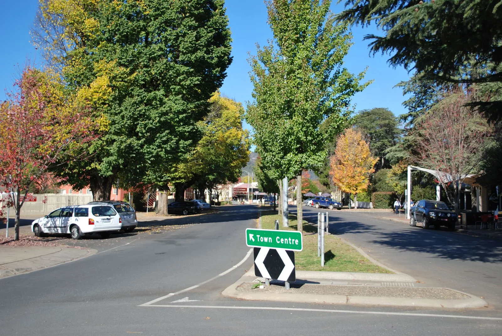 Anderson St in Bright, Victoria