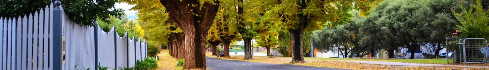 Autumn in Bright, Victoria