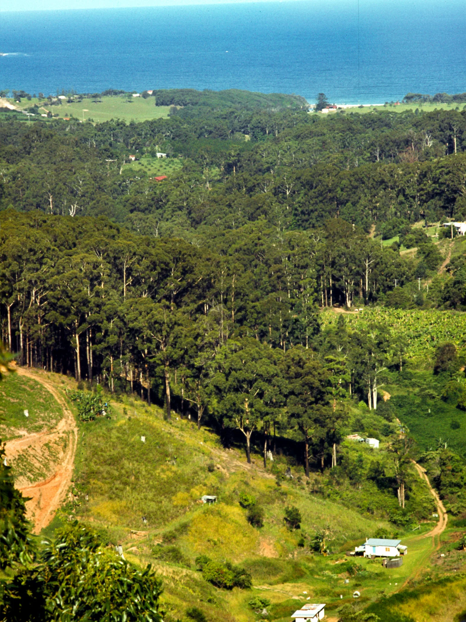612 Nr Coffs Harbour, Jan 81