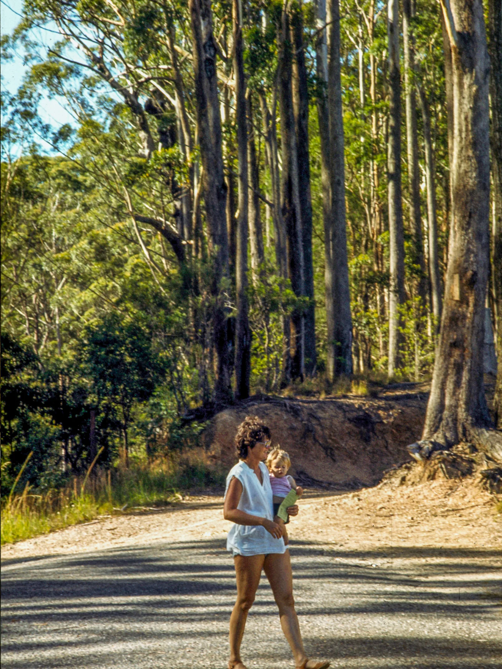 614 Nr Coffs Harbour, Jan 1981