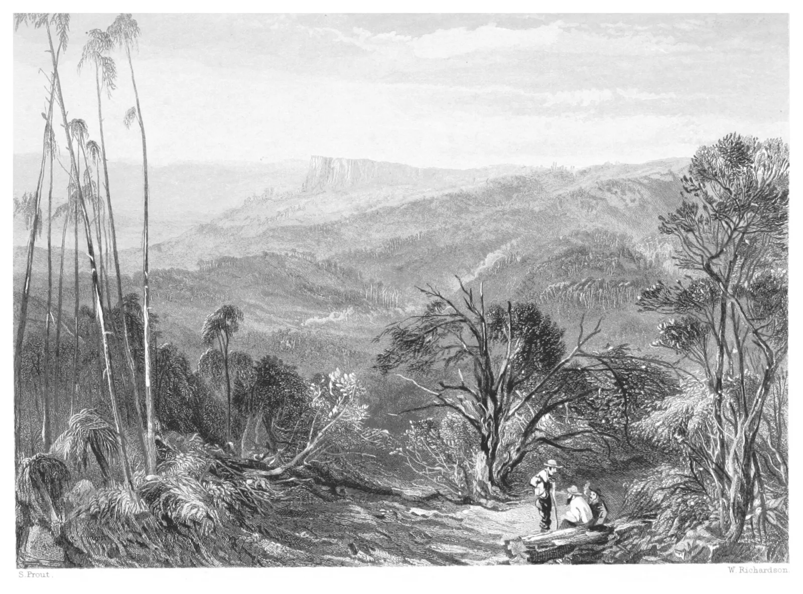 Dandenong Ranges
