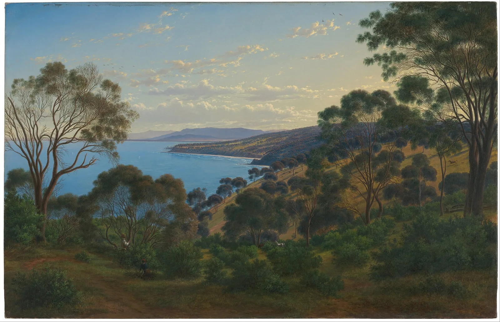 Dandenong Ranges