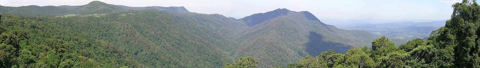 View from the skywalk, Dorrigo National Park