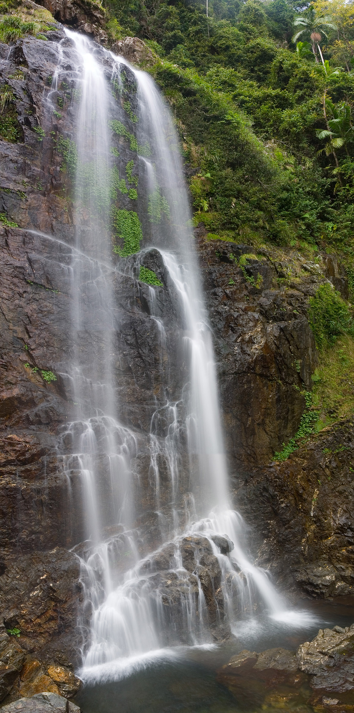 A panorama of 5 photos stitched together of the Cedar Falls along the Never Never circuit in Dorrigo National Park.
