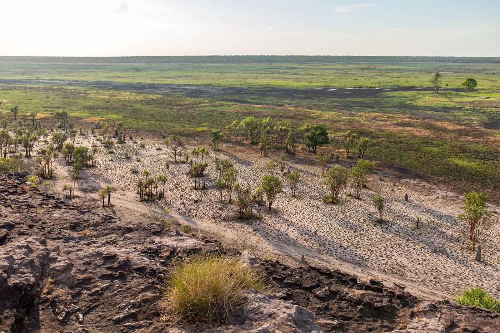 Kakadu National Park, Northern Territory, AustraliaAs early as the 1930s, local communities and authorities were campaigning for environmental protection in the Northern Territory. In 1956, the park was officially protected under the name Kakadu. In the 1960s, further areas within the current park boundaries were added. In 1979, Kakadu was granted national park status, placing it under stricter protection. In the 1980s, more intensive coordination efforts began between Aboriginal communities, park management, and scientists, including programs to preserve landscapes, animal species, and cultural sites. In 1991, Kakadu was recognized as a UNESCO World Heritage Site along with Uluru-Kata Tjuta, which strengthened its international protection.