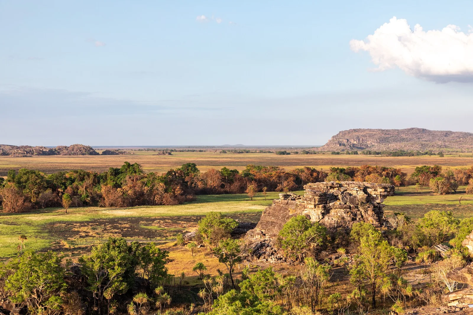 View from Nadap Lookout, Kakadu National Park, Northern Territory, AustraliaAs early as the 1930s, local communities and authorities were campaigning for environmental protection in the Northern Territory. In 1956, the park was officially protected under the name Kakadu. In the 1960s, further areas within the current park boundaries were added. In 1979, Kakadu was granted national park status, placing it under stricter protection. In the 1980s, more intensive coordination efforts began between Aboriginal communities, park management, and scientists, including programs to preserve landscapes, animal species, and cultural sites. In 1991, Kakadu was recognized as a UNESCO World Heritage Site along with Uluru-Kata Tjuta, which strengthened its international protection.