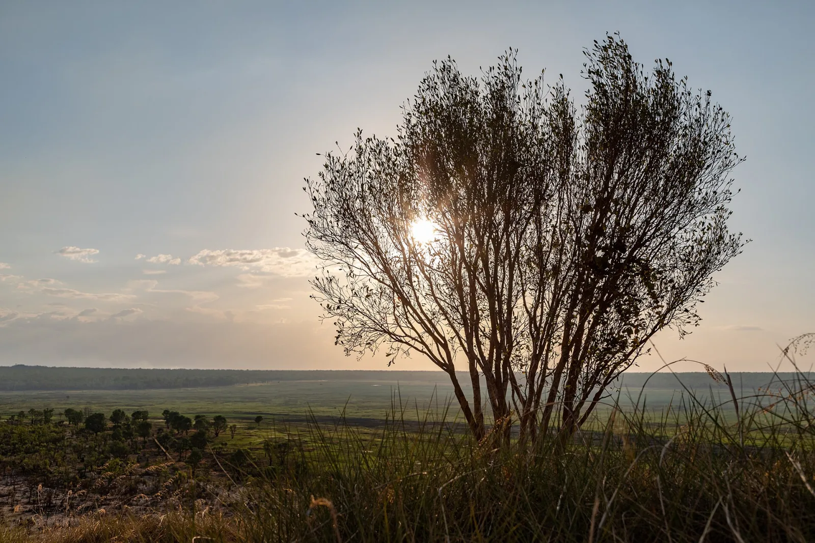 Sunset at Nadap Lookout, Kakadu National Park, Northern Territory, AustraliaAs early as the 1930s, local communities and authorities were campaigning for environmental protection in the Northern Territory. In 1956, the park was officially protected under the name Kakadu. In the 1960s, further areas within the current park boundaries were added. In 1979, Kakadu was granted national park status, placing it under stricter protection. In the 1980s, more intensive coordination efforts began between Aboriginal communities, park management, and scientists, including programs to preserve landscapes, animal species, and cultural sites. In 1991, Kakadu was recognized as a UNESCO World Heritage Site along with Uluru-Kata Tjuta, which strengthened its international protection.