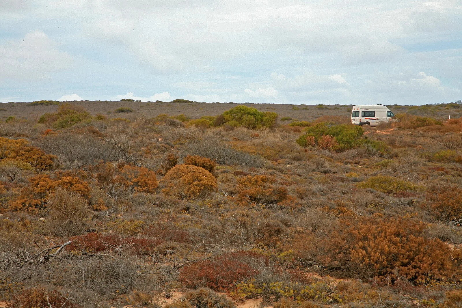 Kalbarri National Park