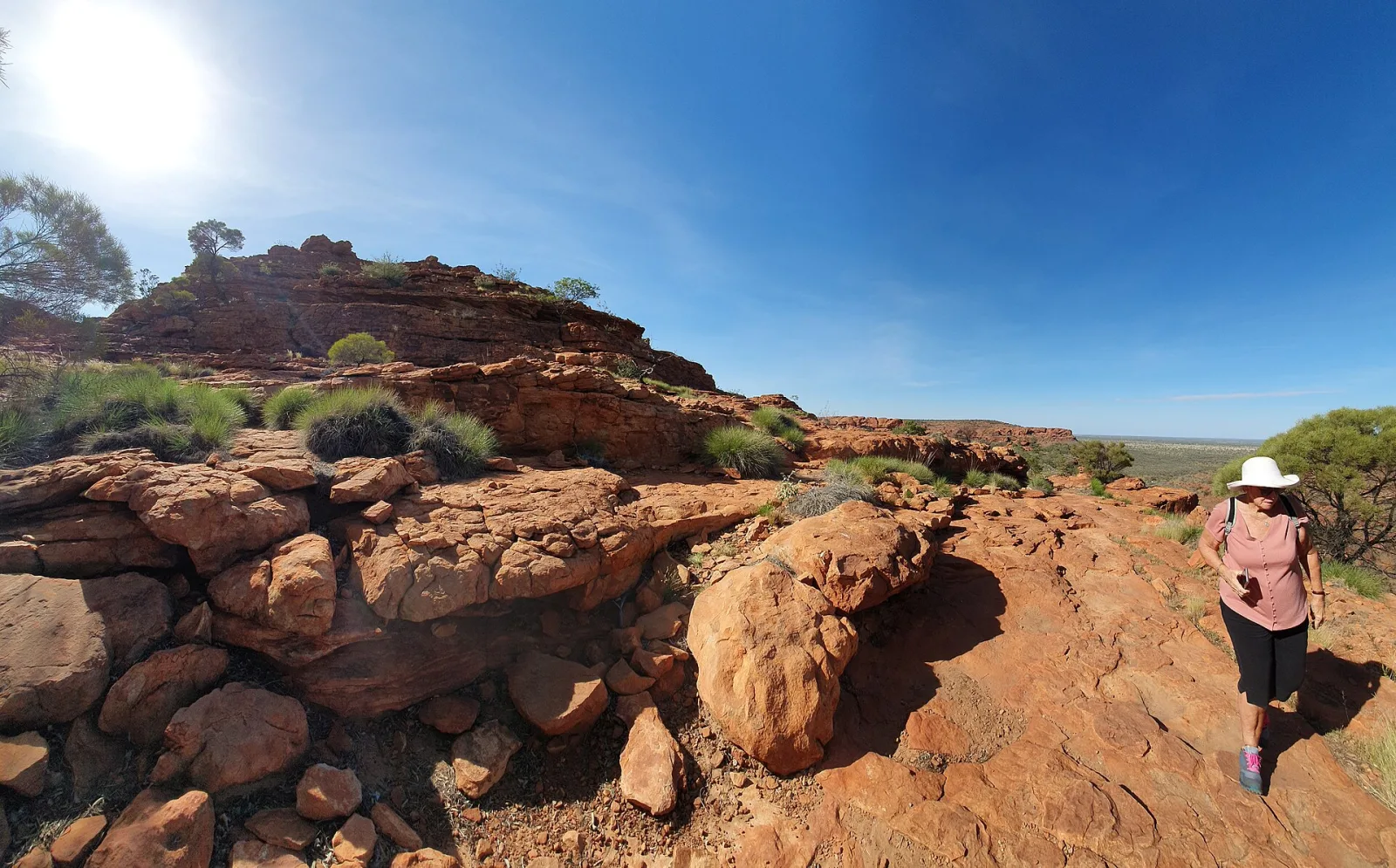 Kings Canyon Rim Walk
