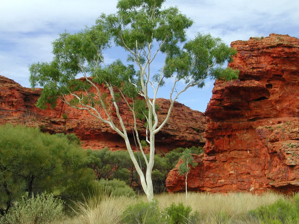 Kings Canyon, Australia