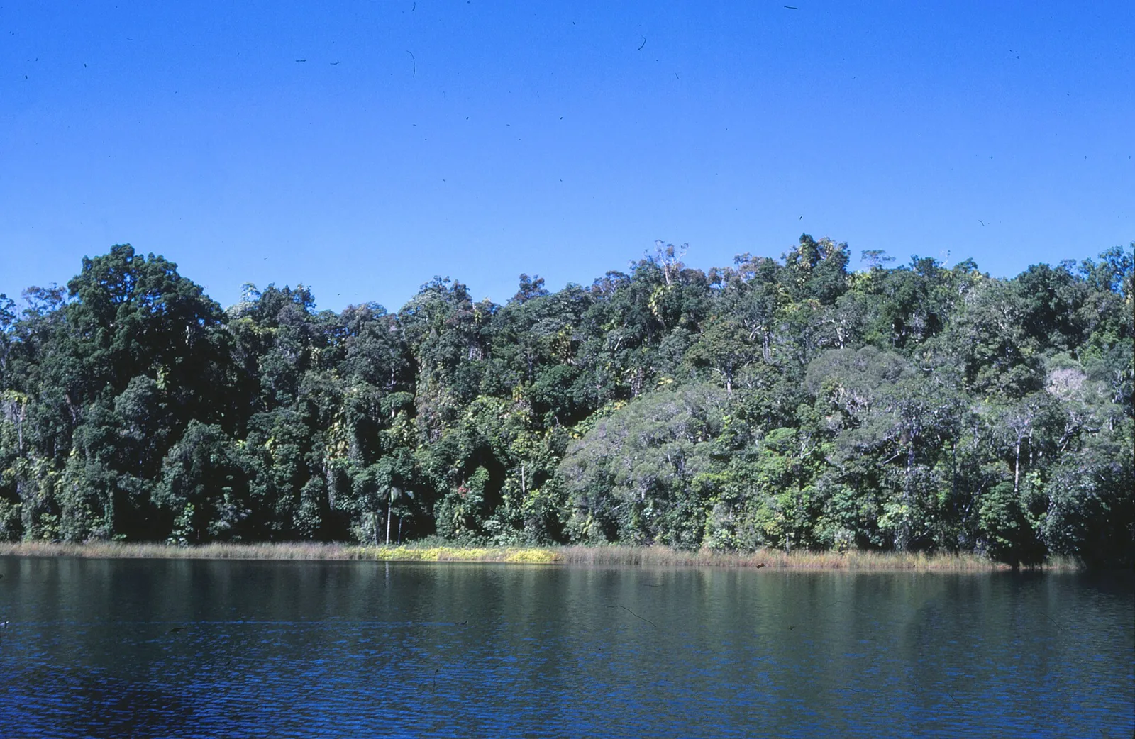Lake Eacham